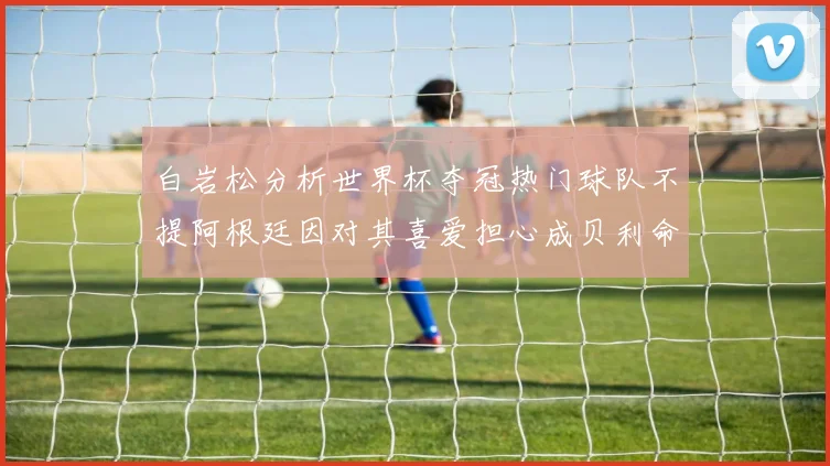 白岩松分析世界杯夺冠热门球队不提阿根廷因对其喜爱担心成贝利命运