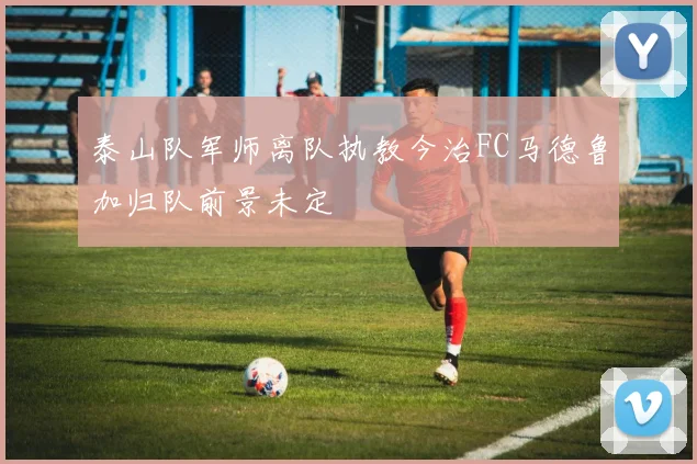 泰山队军师离队执教今治FC马德鲁加归队前景未定
