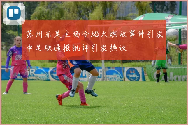 苏州东吴主场冷焰火燃放事件引发中足联通报批评引发热议